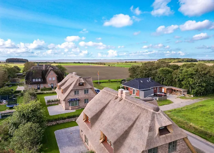 Friesenfruehling Borgsum